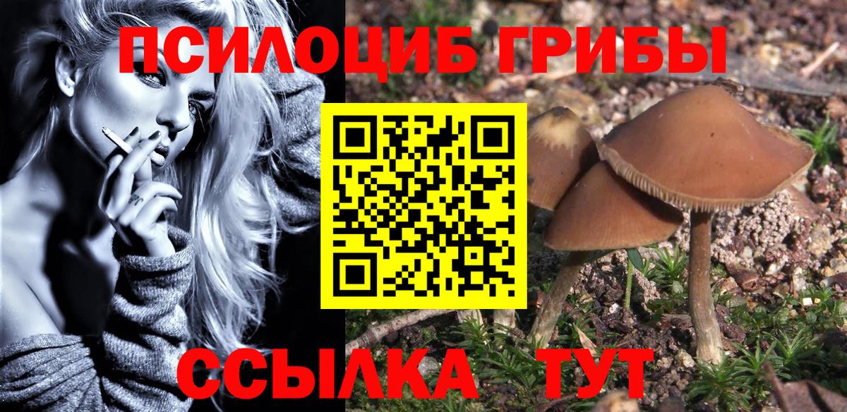 Псилоцибиновые грибы GOLDEN TEACHER  Галлюциногенные грибы Psilocybe  Кандалакша  Вход с VPN 